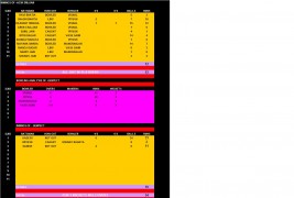 GENPACT VS SRIJAN, Match summary at played at GGSC Cricket Ground at New Delhi