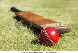 India vs England : Man of the Series ; Playing Conditions